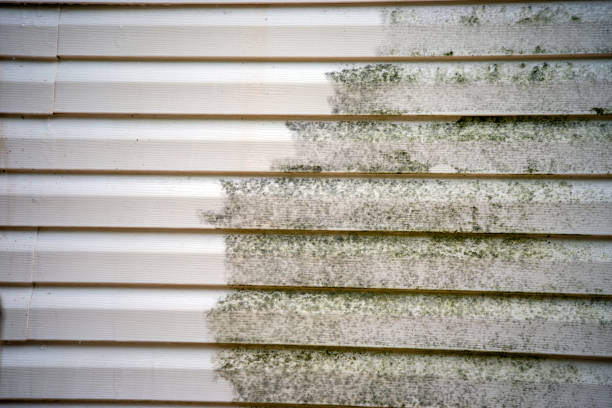 Best Fascia and Soffit Installation  in Laguna Woods, CA