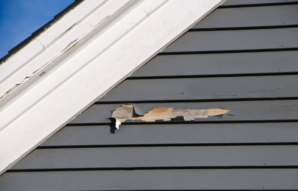 Best Custom Siding Design  in Laguna Woods, CA